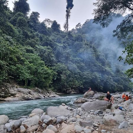 Lucky Bamboo'Bungalows-Resto And Orangutan Jungle Trekking Tours บูกิตลาวัง ภายนอก รูปภาพ