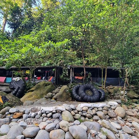 Lucky Bamboo'Bungalows-Resto And Orangutan Jungle Trekking Tours บูกิตลาวัง ภายนอก รูปภาพ