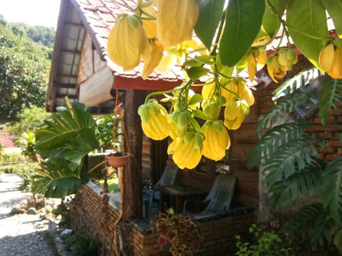 Lucky Bamboo'Bungalows-Resto And Orangutan Jungle Trekking Tours บูกิตลาวัง ภายนอก รูปภาพ