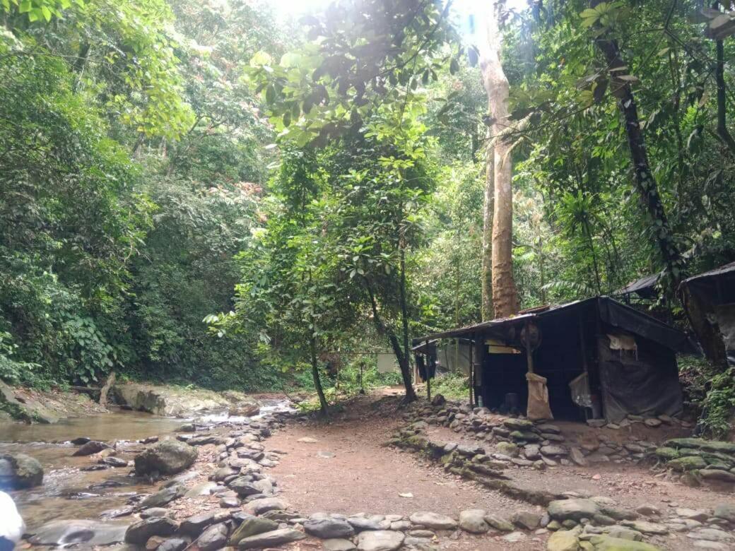 Lucky Bamboo'Bungalows-Resto And Orangutan Jungle Trekking Tours บูกิตลาวัง ภายนอก รูปภาพ