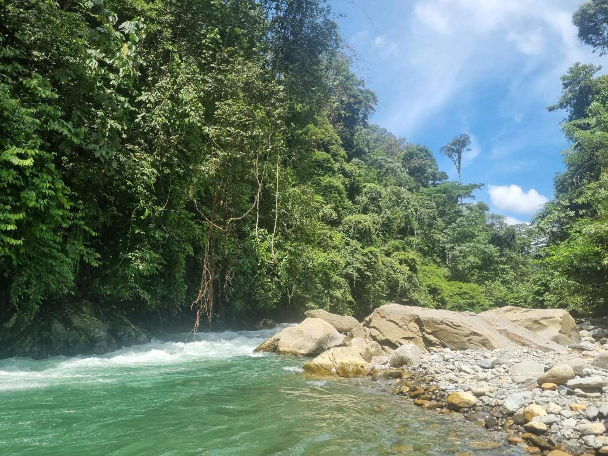 Lucky Bamboo'Bungalows-Resto And Orangutan Jungle Trekking Tours บูกิตลาวัง ภายนอก รูปภาพ