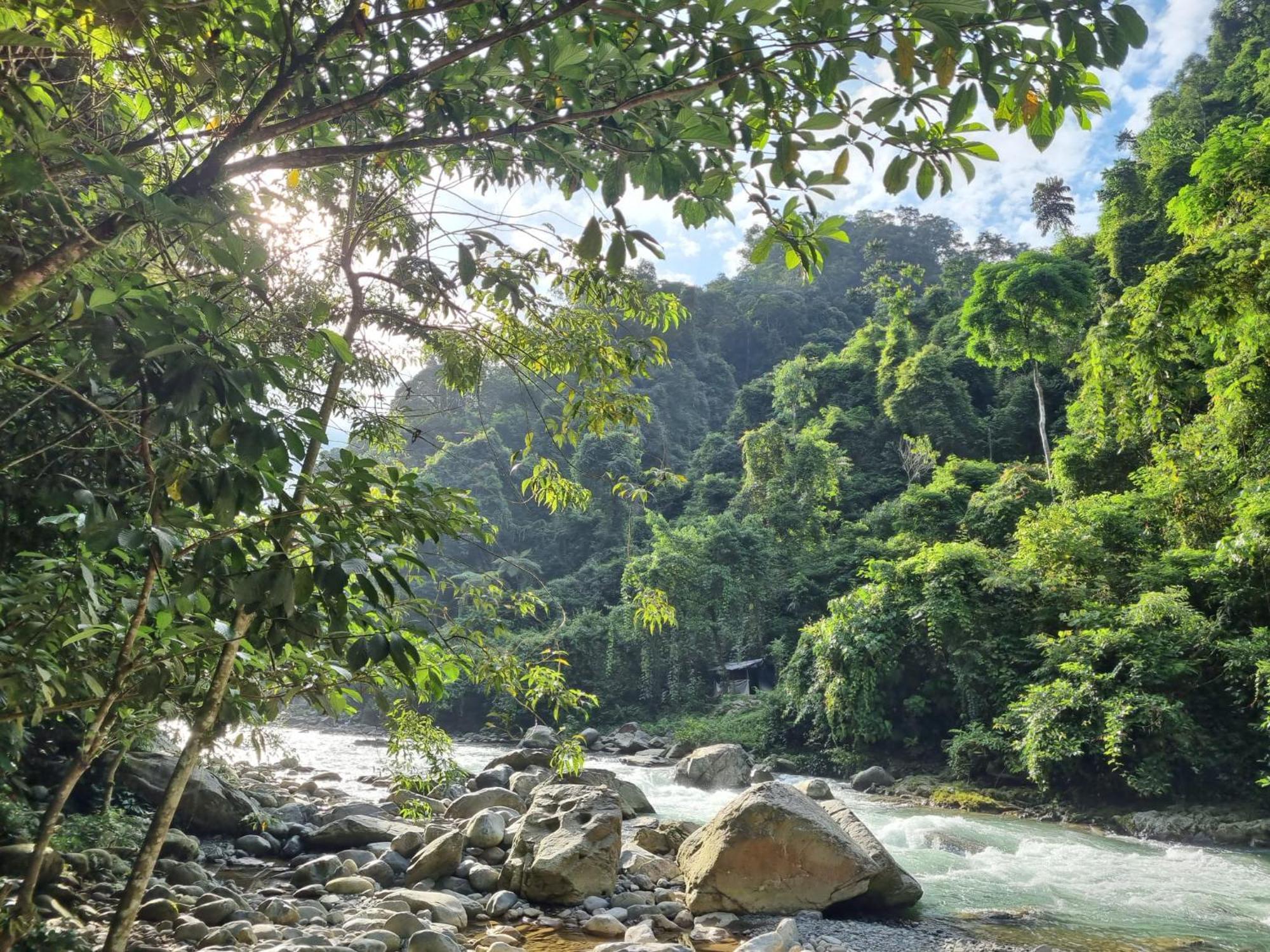 Lucky Bamboo'Bungalows-Resto And Orangutan Jungle Trekking Tours บูกิตลาวัง ภายนอก รูปภาพ