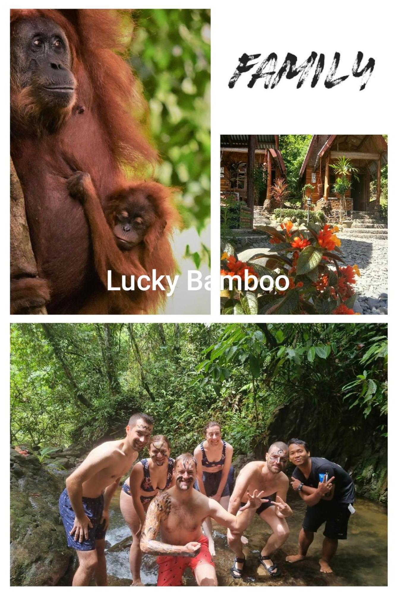 Lucky Bamboo'Bungalows-Resto And Orangutan Jungle Trekking Tours บูกิตลาวัง ภายนอก รูปภาพ