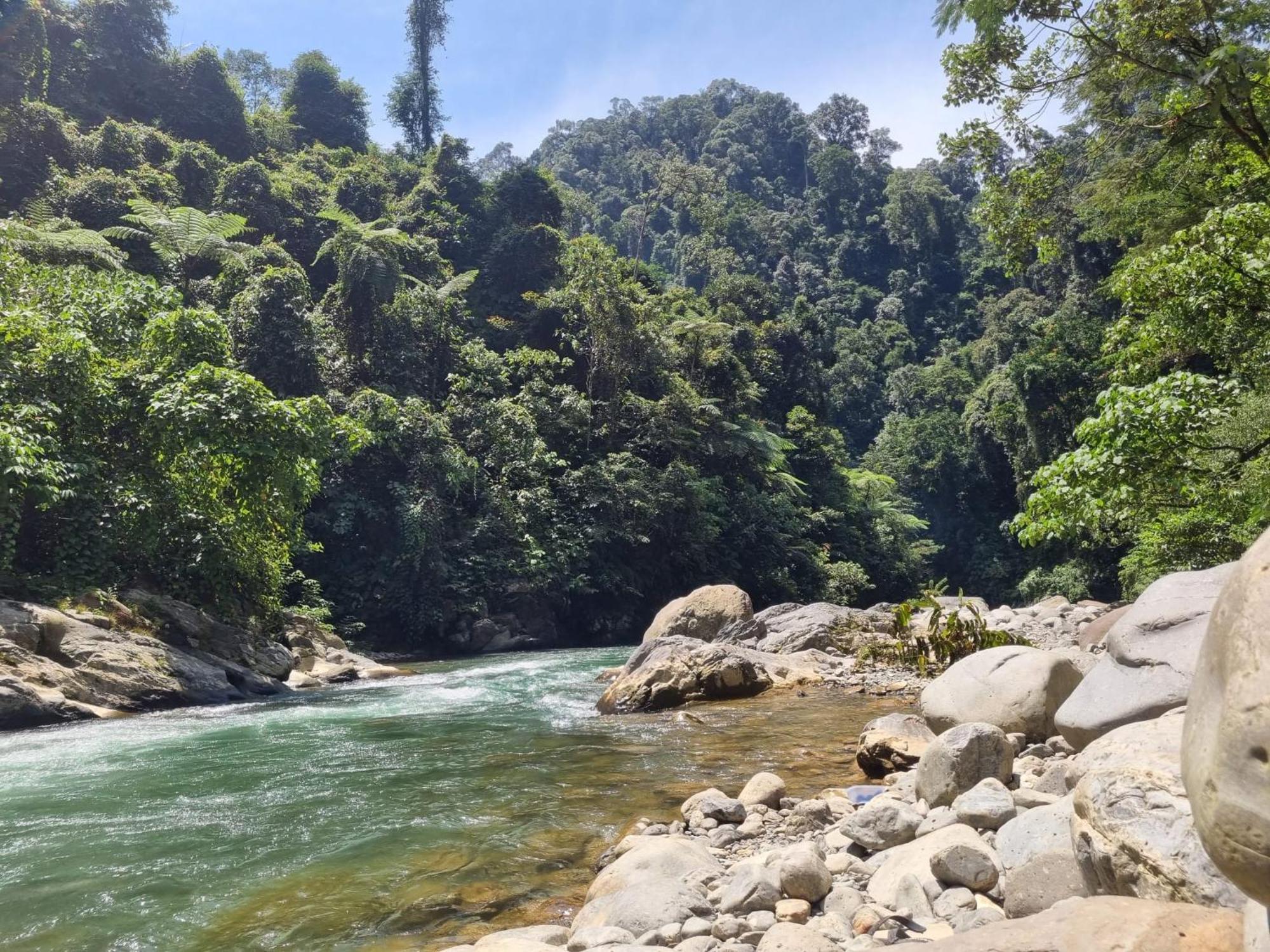 Lucky Bamboo'Bungalows-Resto And Orangutan Jungle Trekking Tours บูกิตลาวัง ภายนอก รูปภาพ